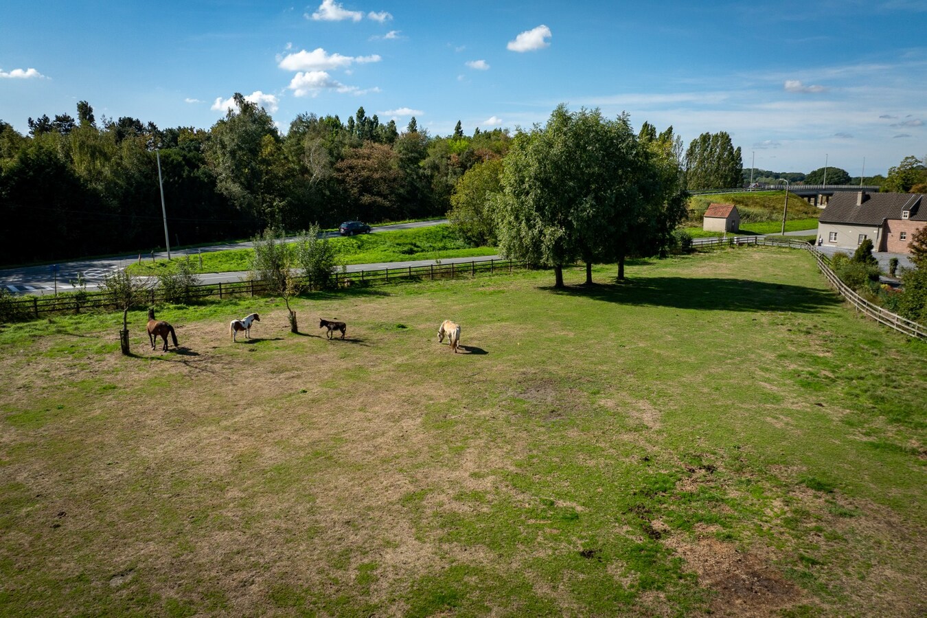 Renovated farmhouse with pasture on approximately 2 hectares in Veldegem. 