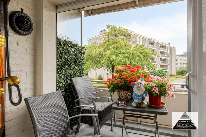 Te koop appartement - Maaseik