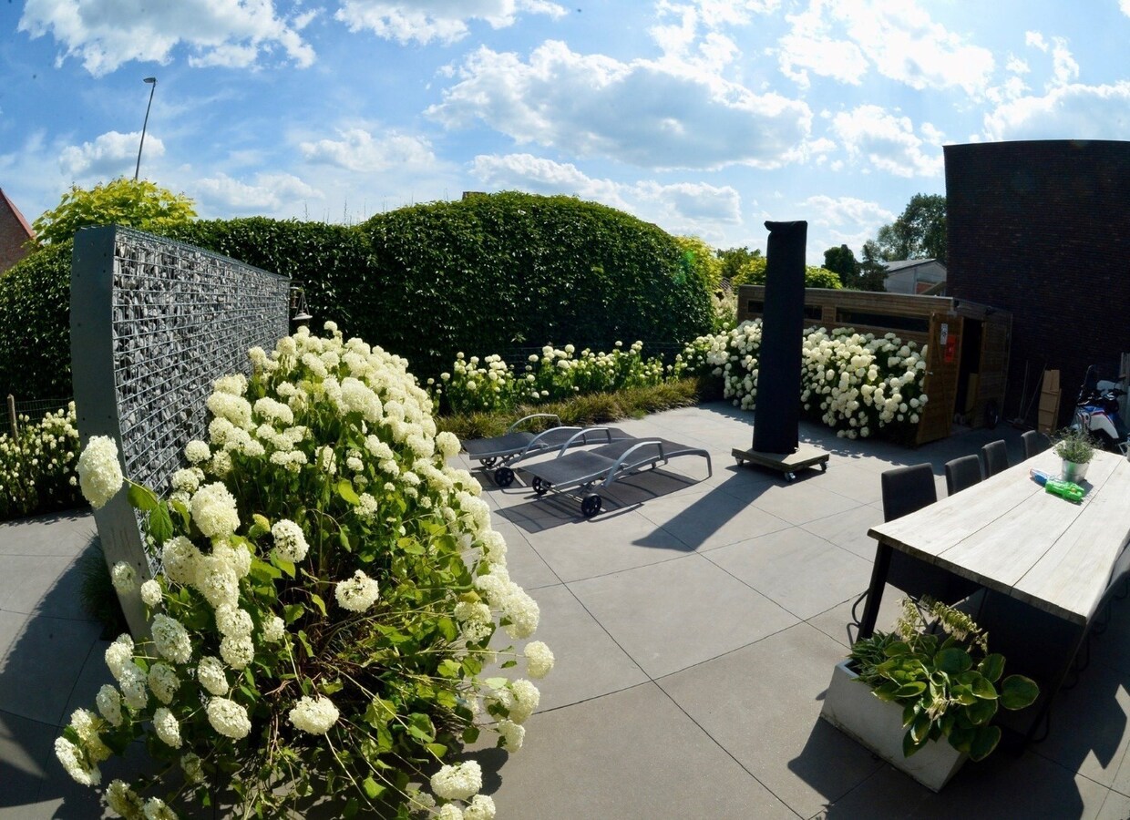 Unieke energiezuinige woning met 4 slaapkamers (E-peil 19) 