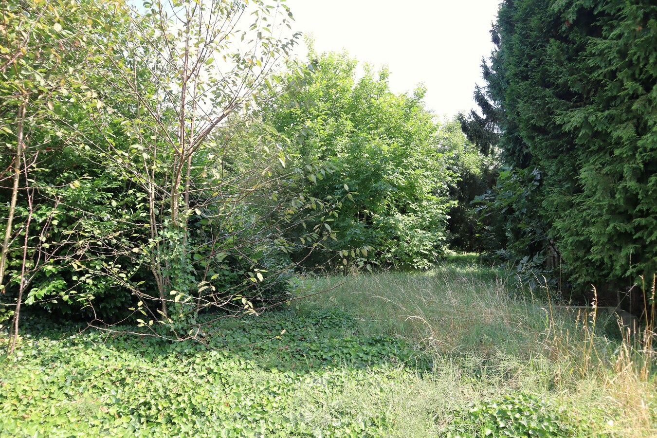 Perceel grond van 07 are 07ca 