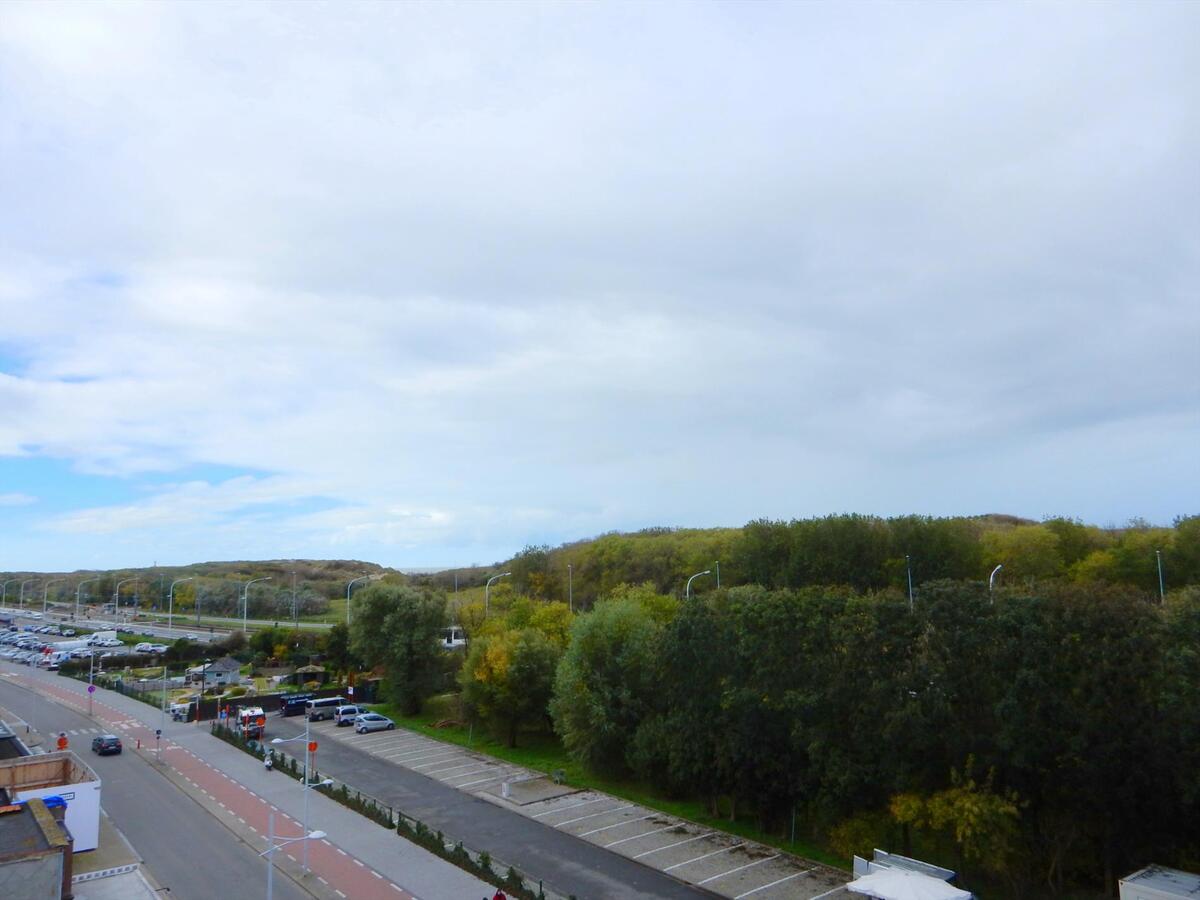 Prachtig duplexappartement met zicht op de duinen 