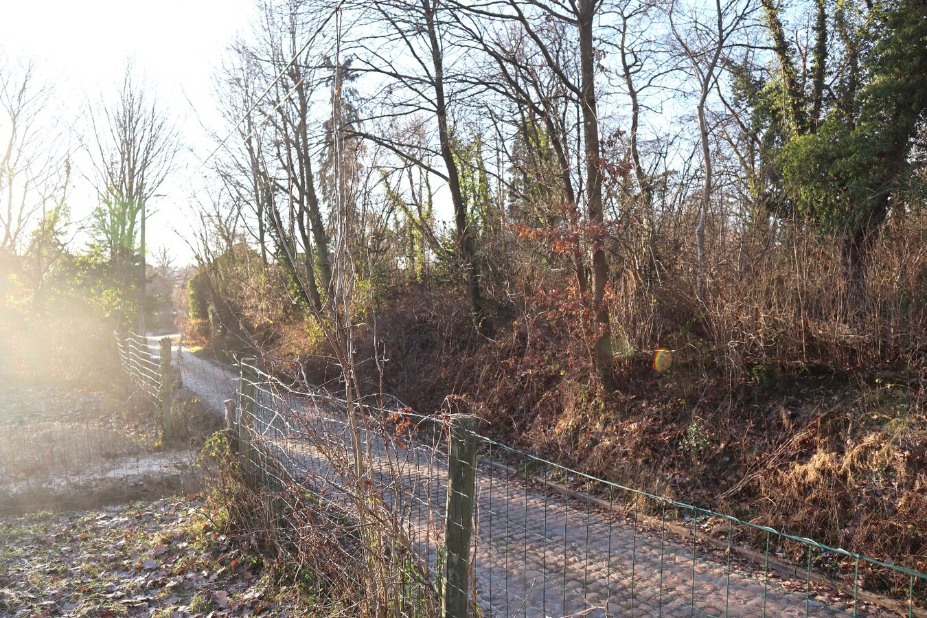 Prachtig gelegen bouwgrond te Bierbeek voor open bebouwing 9 are 45 ca 