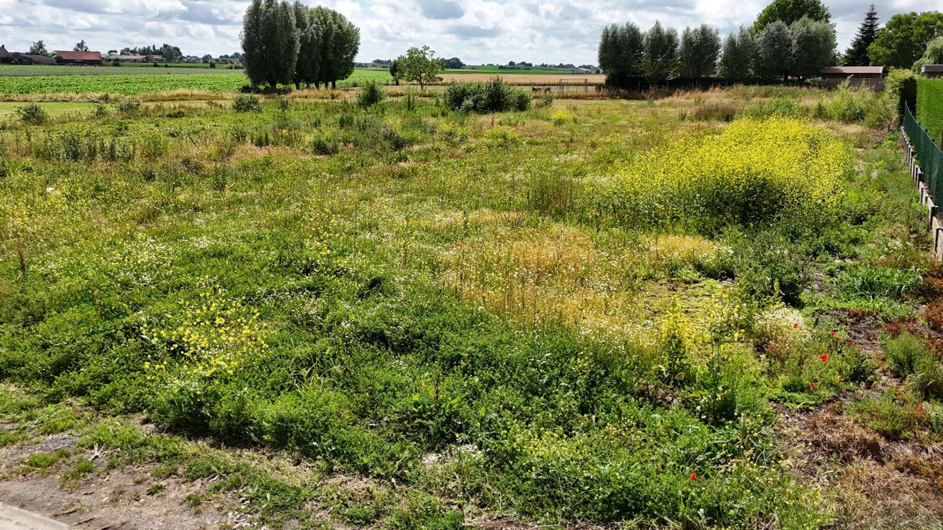 Bouw uw droomwoning in deze landelijke omgeving! 