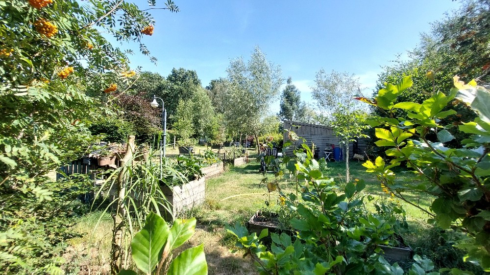 Bos te koop in Weert