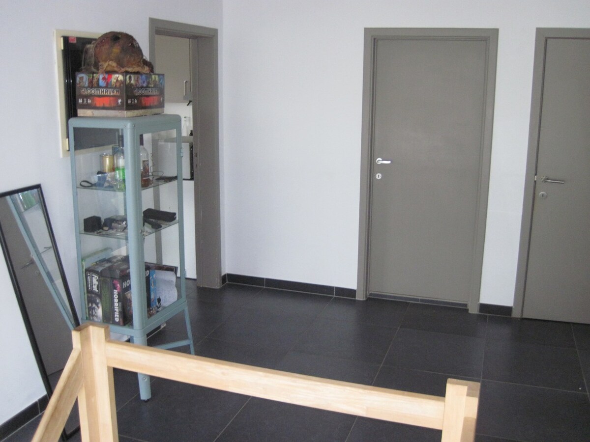 Lichtrijk appartement in Zingem 