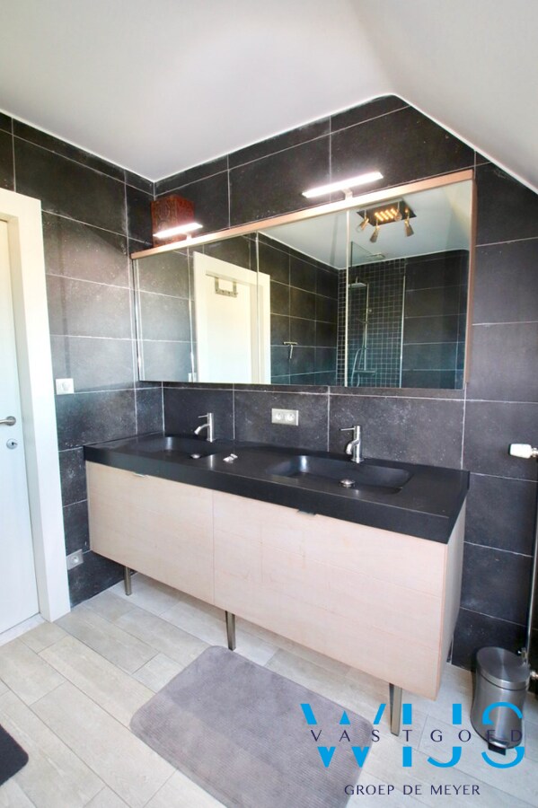 Zwemmen met zicht op de kerktoren van ERTVELDE ! 