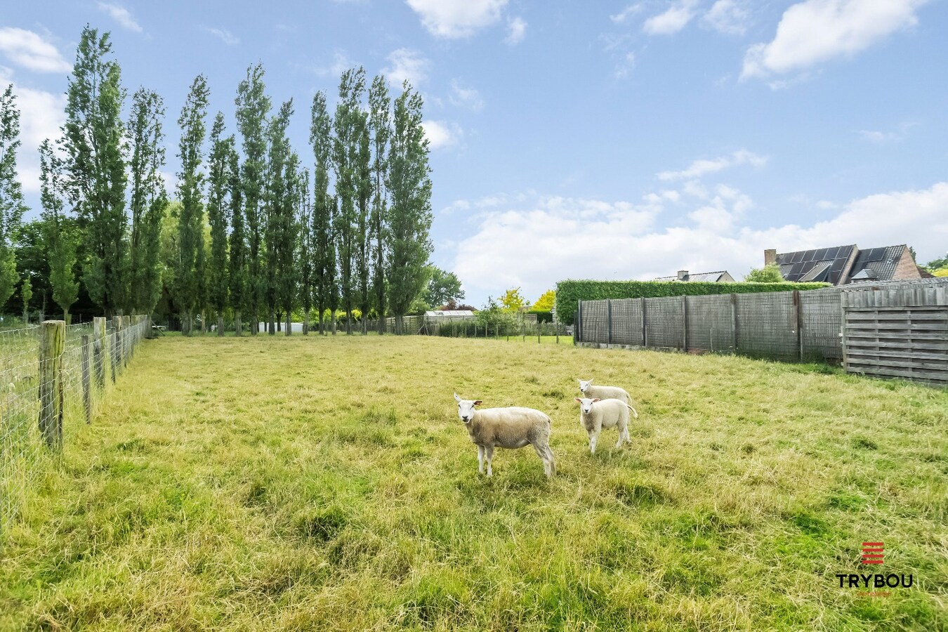 Vrijstaande woning op 1194 m² te Klerken 