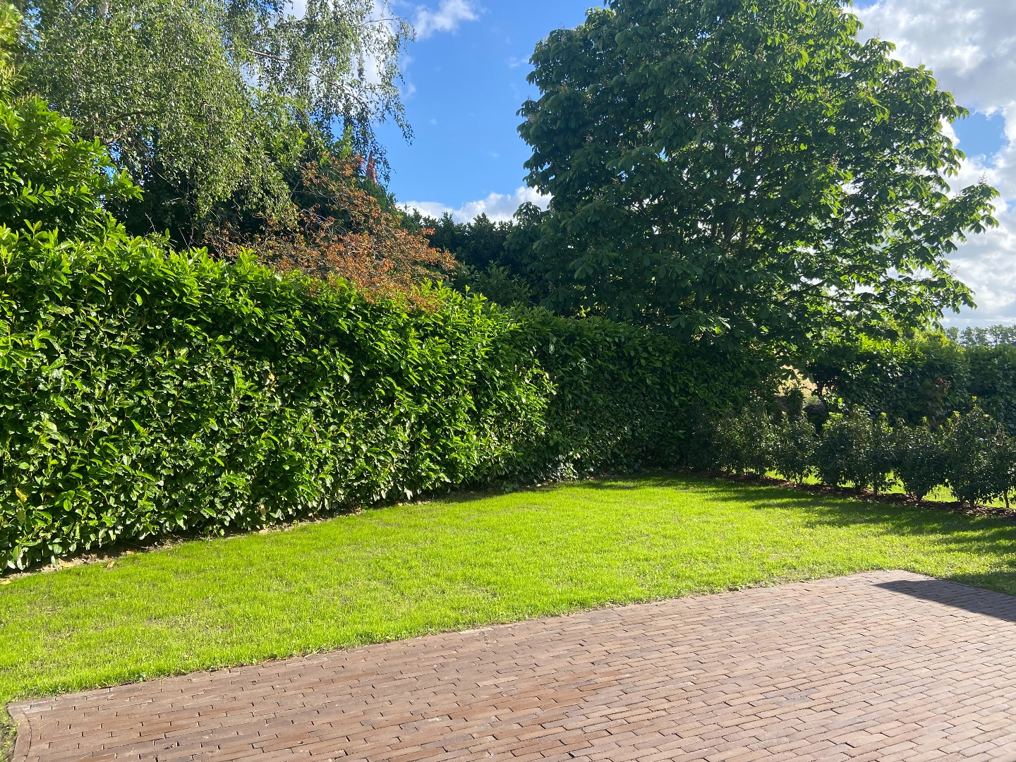 Exclusieve, energiezuinige nieuwbouwwoning op een discrete ligging te Waregem! 