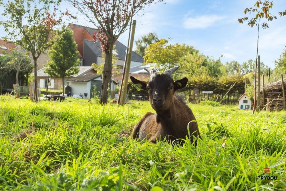 Centraal gelegen starterswoning op ruim perceel van 1658 m² 