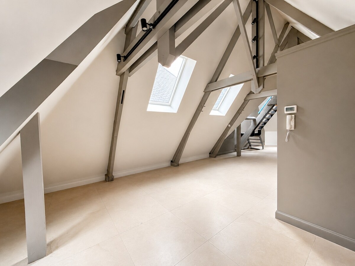 Duplex avec mezzanine en plein centre ville ! 