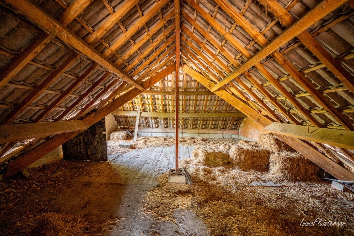 Maison soignée avec 4 écuries sur environ 75 ares à Tielt-Winge (Brabant flamand) 