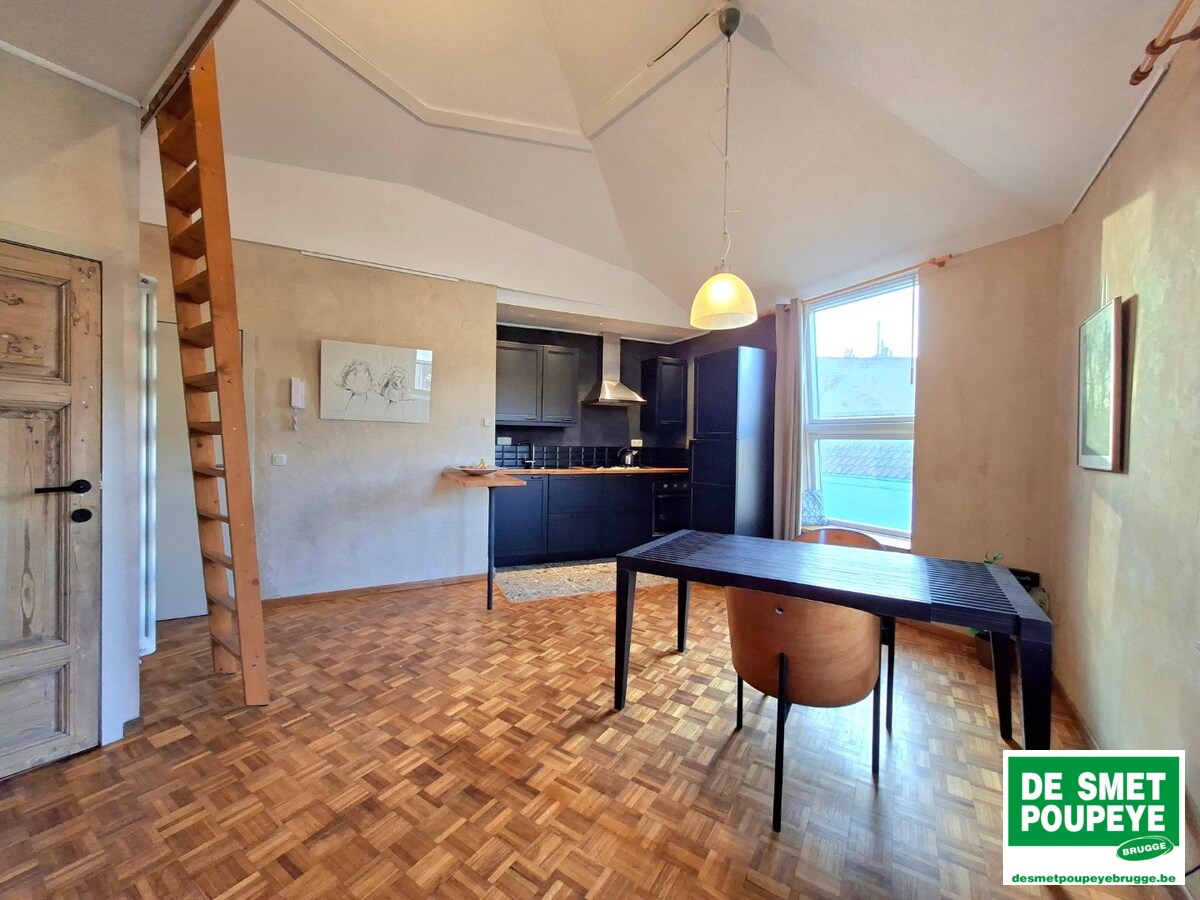 Gezellige dakappartement 