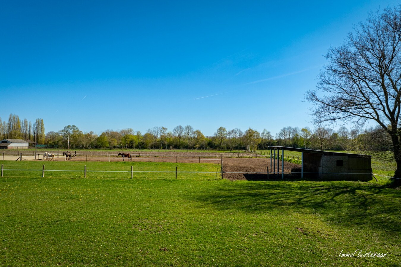 Recent gerenoveerde woning met paardenstallen en buitenpiste op ca. 12.370 m2  te Geel 