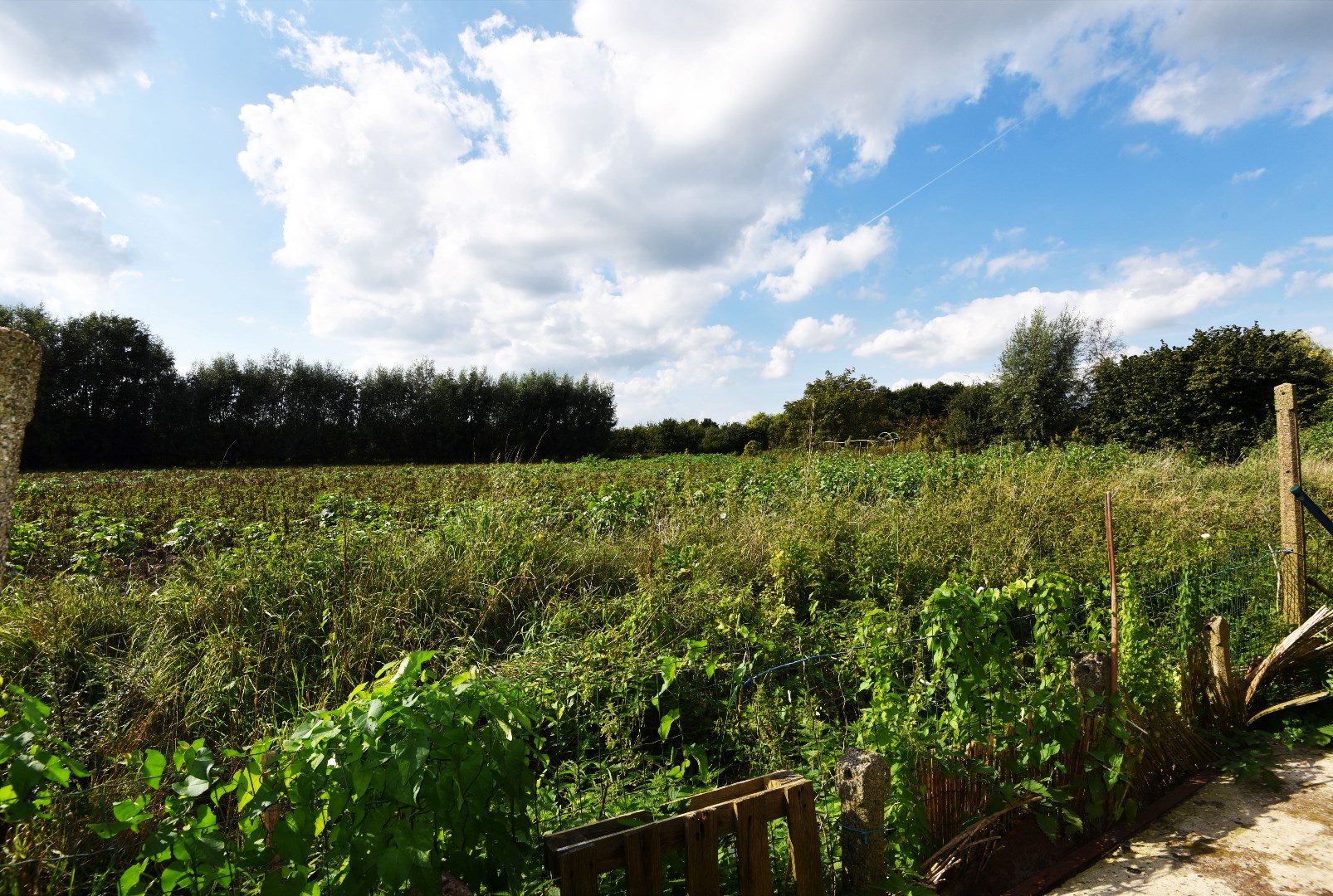 Charmante rijwoning met tuintje te centrum Eeklo 