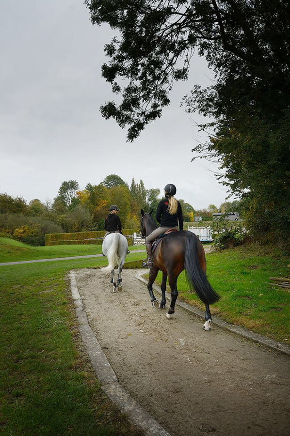 Exclusief professioneel hippisch centrum op ca. 3,5ha te Fleurus (Henegouwen; België) 