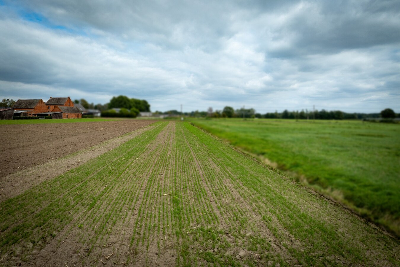 Farm to be renovated with stables and pastures on approximately 1.7 hectares in Herk-de-Stad. 