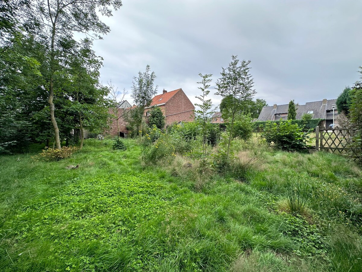 Grond te koop te Koekelare 