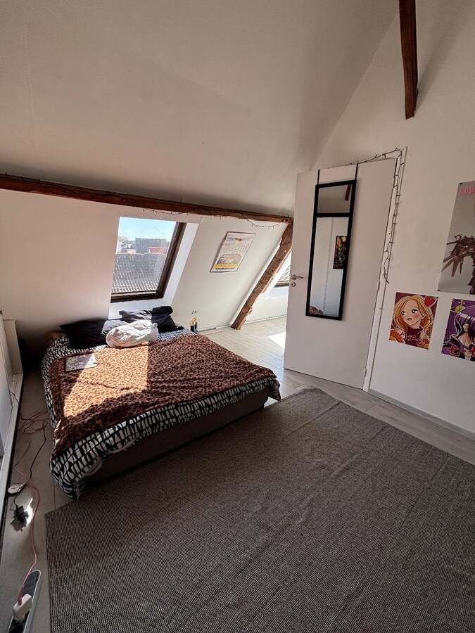 Lumineux appartement en duplex 