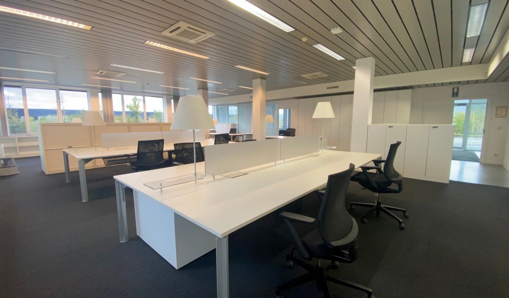 Instapklare kantoren vlakbij N16 te huur in Bornem