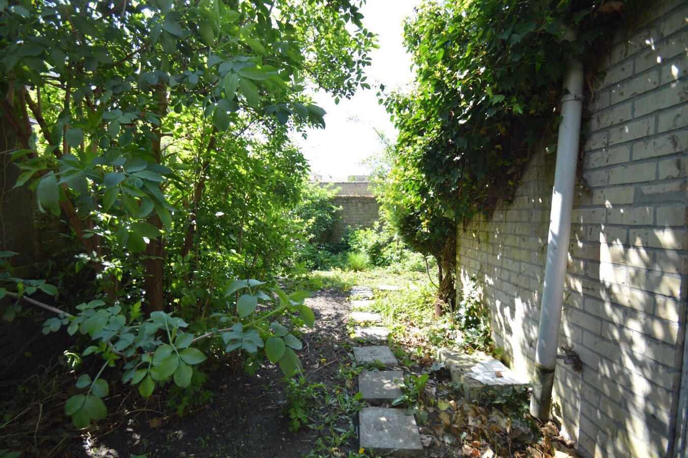 Zeer ruime woning met tuin - Heist 