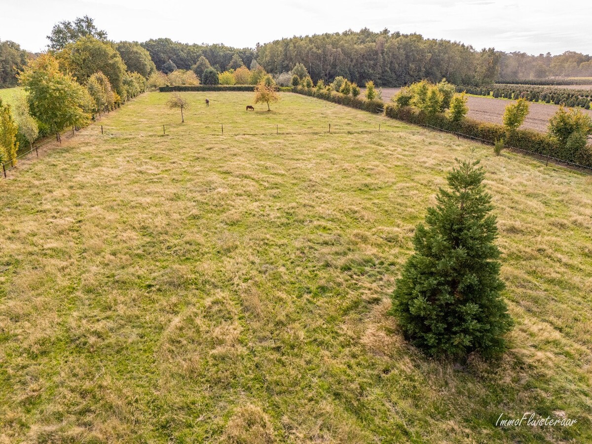 Instapklare hoeve met paardenfaciliteiten op ca. 2,5 ha te Gruitrode (Oudsbergen) 
