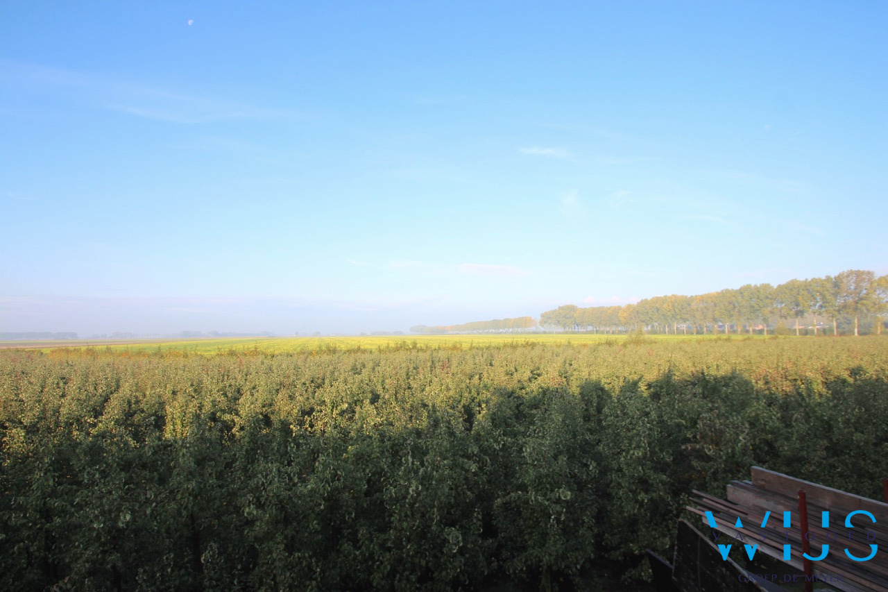 Uniek nieuwbouwproject te BOEKHOUTE ! 