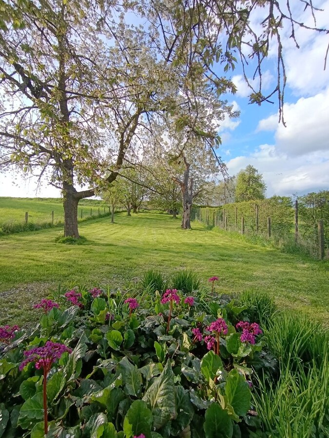 Karaktervolle woning in het landelijke Vreren (Tongeren) 