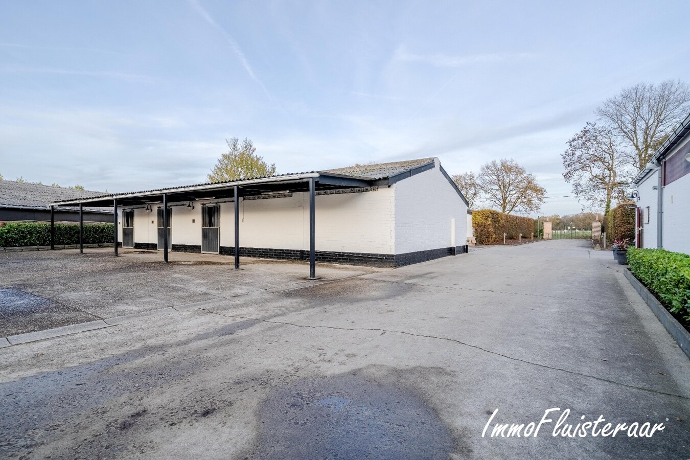 Exclusief Hippisch Complex met Uitstekende Trainingsmogelijkheden op ca 8,6 ha in Wuustwezel 