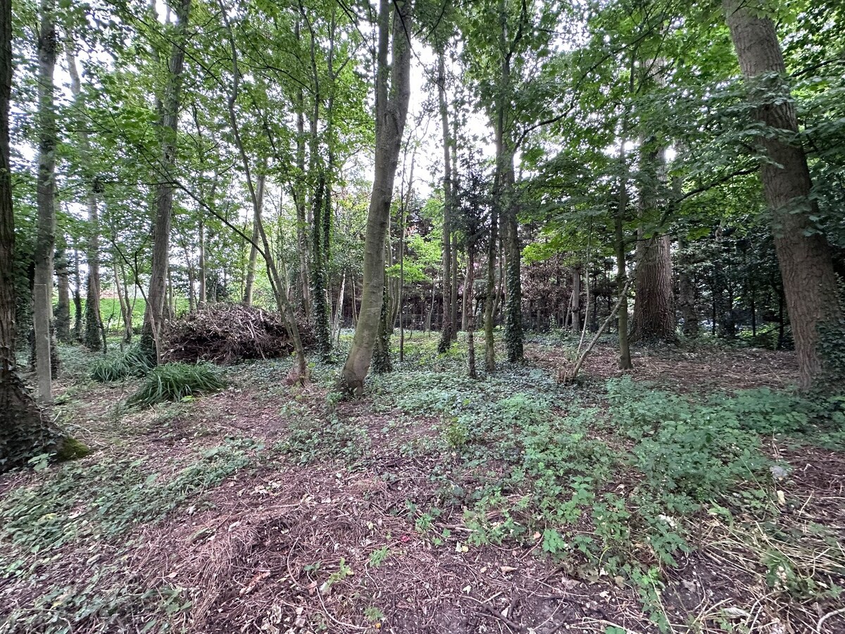 Grond te koop te Koekelare 