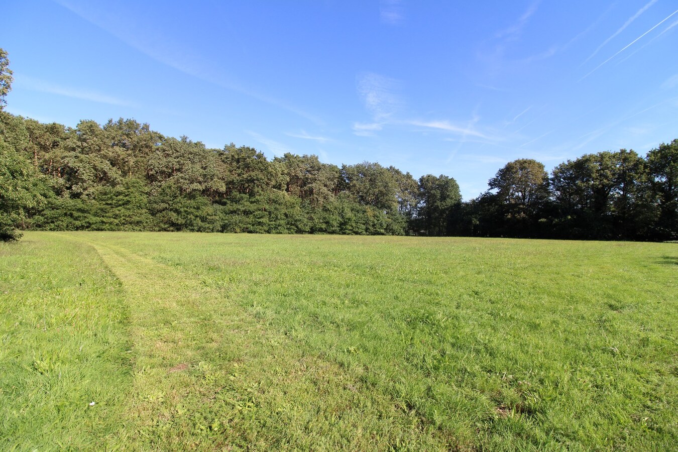 Perfect onderhouden gelijkvloerse woning met ca. 1 ha grond 